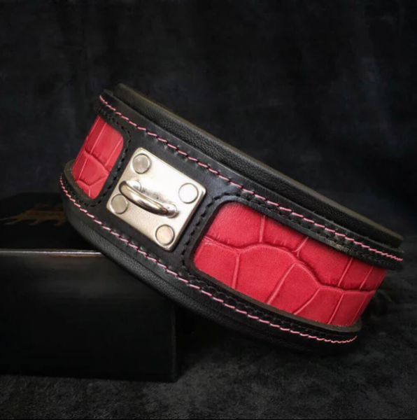 "Reptilien" Halsband
